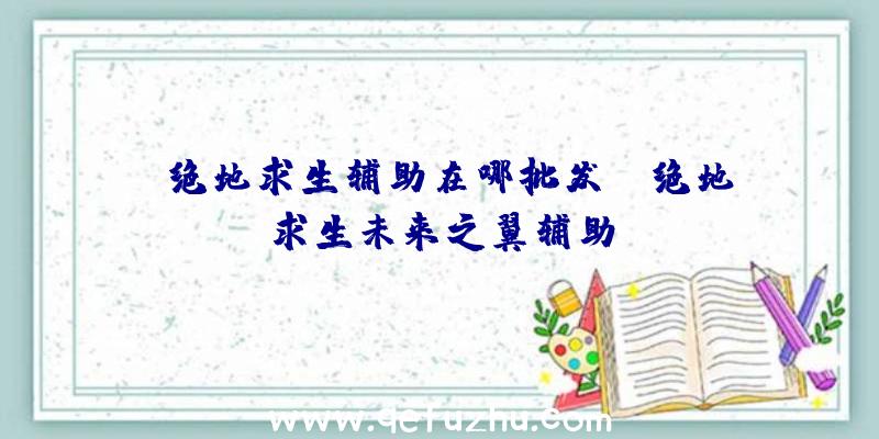 「绝地求生辅助在哪批发」|绝地求生未来之翼辅助